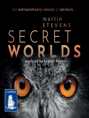 cover image of Secret Worlds